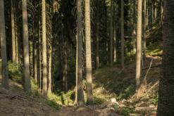 České Švýcarsko - červenec 2018