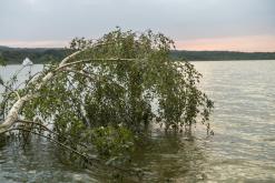 Máchovo jezero - srpen 2018