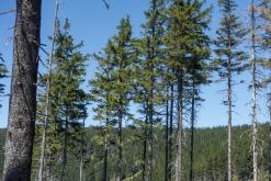 Krkonoše - srpen 2018