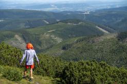 Krkonoše - srpen 2018