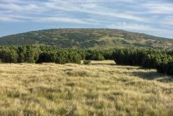 Krkonoše - srpen 2018