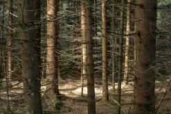 Plechý - srpen 2018