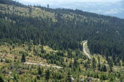 Plechý - srpen 2018