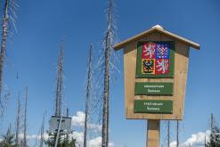 Plechý - srpen 2018