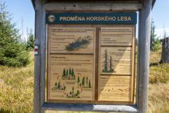 Plechý - srpen 2018