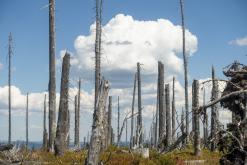 Plechý - srpen 2018