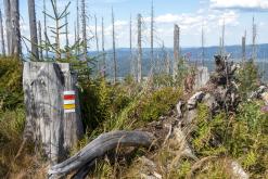 Plechý - srpen 2018