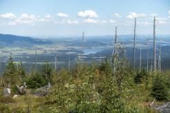 Plechý - srpen 2018