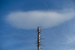 Plechý - srpen 2018