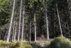 Jizerské hory - září 2018