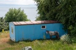 Sevan - Prodloužený víkend po Arménii (červenec 2026)
