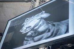 Tunel Sajgon - Tunel Underground, Litoměřice, 13.3.2026