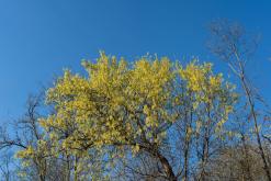 Krk - Prodloužený víkend v Chorvatsku (duben 2026)