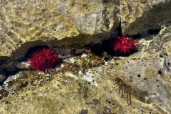 Lošinj - Prodloužený víkend v Chorvatsku (duben 2026)