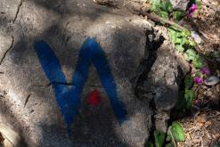 Lošinj - Prodloužený víkend v Chorvatsku (duben 2026)