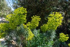 Lošinj - Prodloužený víkend v Chorvatsku (duben 2026)