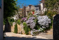 Lošinj - Prodloužený víkend v Chorvatsku (duben 2026)