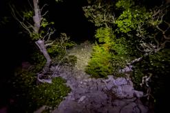 Lošinj - Prodloužený víkend v Chorvatsku (duben 2026)