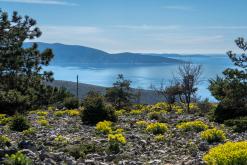 Lošinj - Prodloužený víkend v Chorvatsku (duben 2026)