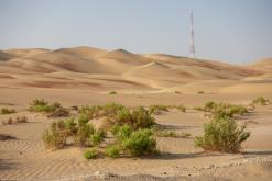 Liwa - Na cestách po Emirátech (listopad-prosinec 2018)