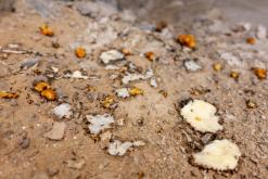 Liwa - Na cestách po Emirátech (listopad-prosinec 2018)