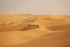 Liwa - Na cestách po Emirátech (listopad-prosinec 2018)