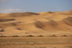 Liwa - Na cestách po Emirátech (listopad-prosinec 2018)