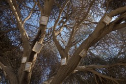 Údolí Timna, Ejlat