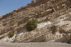 Údolí Timna, Ejlat