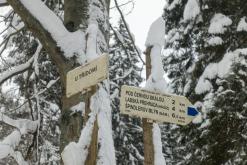 Krkonoše - leden 2019