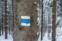 Krkonoše - leden 2019