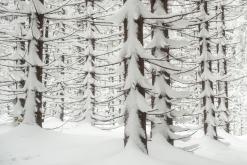 Krkonoše - leden 2019