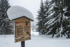 Krkonoše - leden 2019