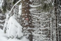 Krkonoše - leden 2019