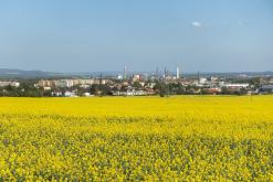 Oparno - červen 2019