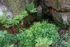 NPP Peklo - květen 2019