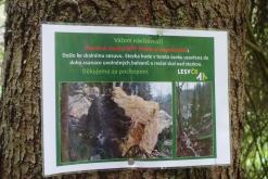 NPP Peklo - květen 2019