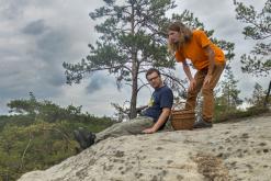 Blíževedly - září 2019