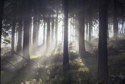 Klínovec - listopad 2019