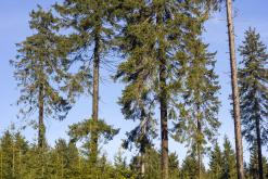 Klínovec - listopad 2019