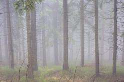 Klínovec - listopad 2019