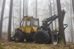 Klášterec nad Ohří - listopad 2019