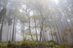 Klášterec nad Ohří - listopad 2019