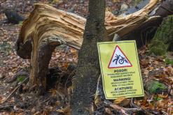 Klínovec - listopad 2019