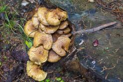 Klínovec - listopad 2019