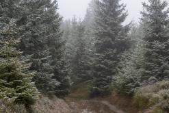 Klínovec - listopad 2019