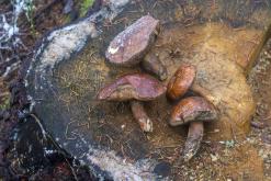 Klínovec - listopad 2019