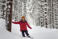 Krkonoše - leden 2019