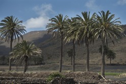 Lanzarote, Kanárské ostrovy