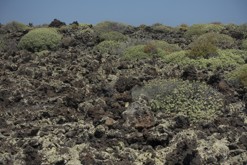 Lanzarote, Kanárské ostrovy
